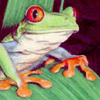 froggman's Avatar
